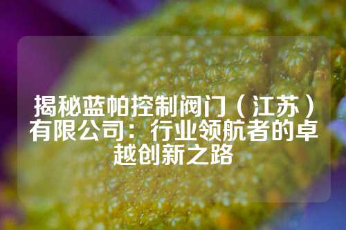 揭秘蓝帕控制阀门（江苏）有限公司：行业领航者的卓越创新之路