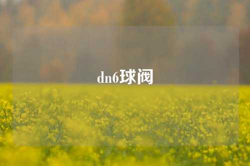 dn6球阀