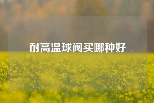 耐高温球阀买哪种好