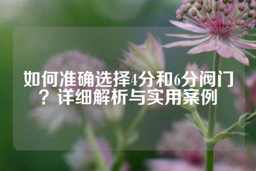 如何准确选择4分和6分阀门？详细解析与实用案例