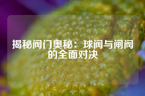 揭秘阀门奥秘：球阀与闸阀的全面对决