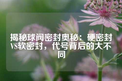 揭秘球阀密封奥秘：硬密封VS软密封，代号背后的大不同