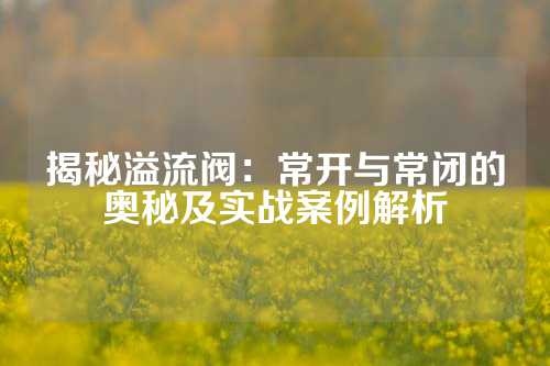 揭秘溢流阀：常开与常闭的奥秘及实战案例解析