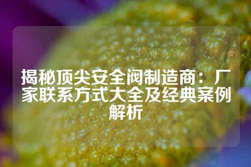 揭秘顶尖安全阀制造商：厂家联系方式大全及经典案例解析