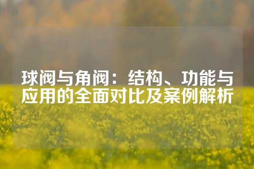 球阀与角阀：结构、功能与应用的全面对比及案例解析