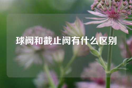 球阀和截止阀有什么区别