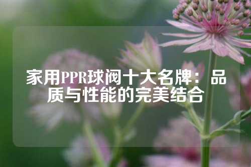 家用PPR球阀十大名牌：品质与性能的完美结合