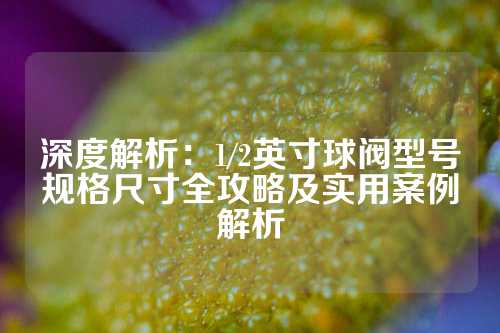 深度解析：1/2英寸球阀型号规格尺寸全攻略及实用案例解析