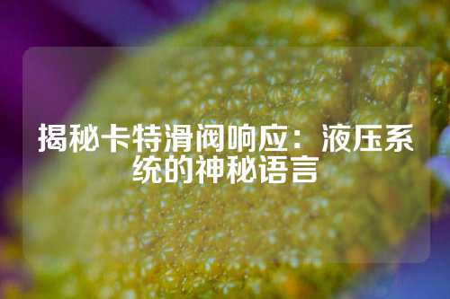 揭秘卡特滑阀响应：液压系统的神秘语言