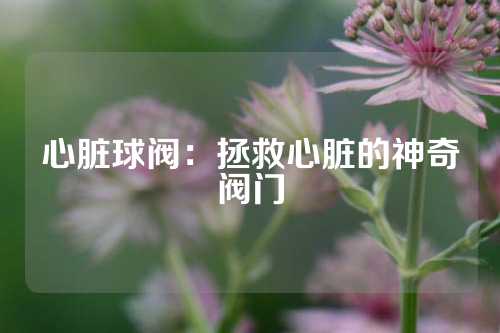 心脏球阀：拯救心脏的神奇阀门