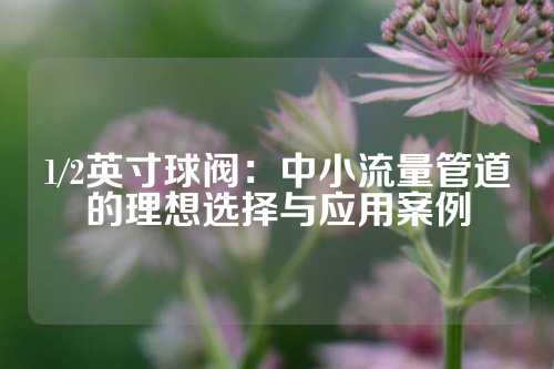 1/2英寸球阀：中小流量管道的理想选择与应用案例